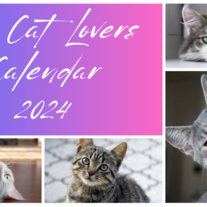 For Cat Lovers - 2024 Calendar