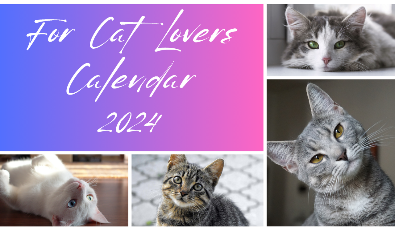 For Cat Lovers 2024 Calendar HWWEDER   Cats 