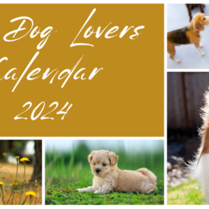 For Dog Lovers - 2024 Calendar